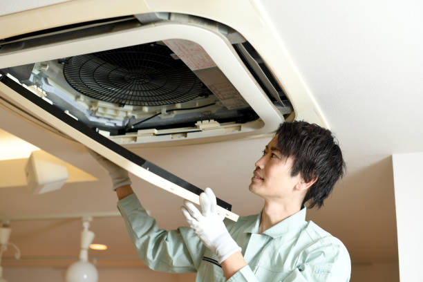 Best Local Air Duct Cleaning Services  in Northfield, MN