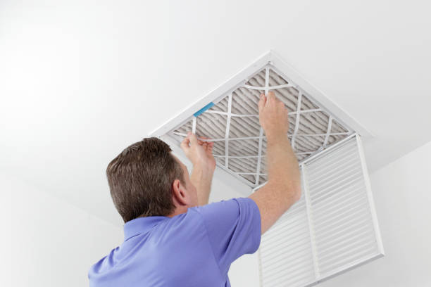 Best Air Duct Sanitizing Services  in Northfield, MN